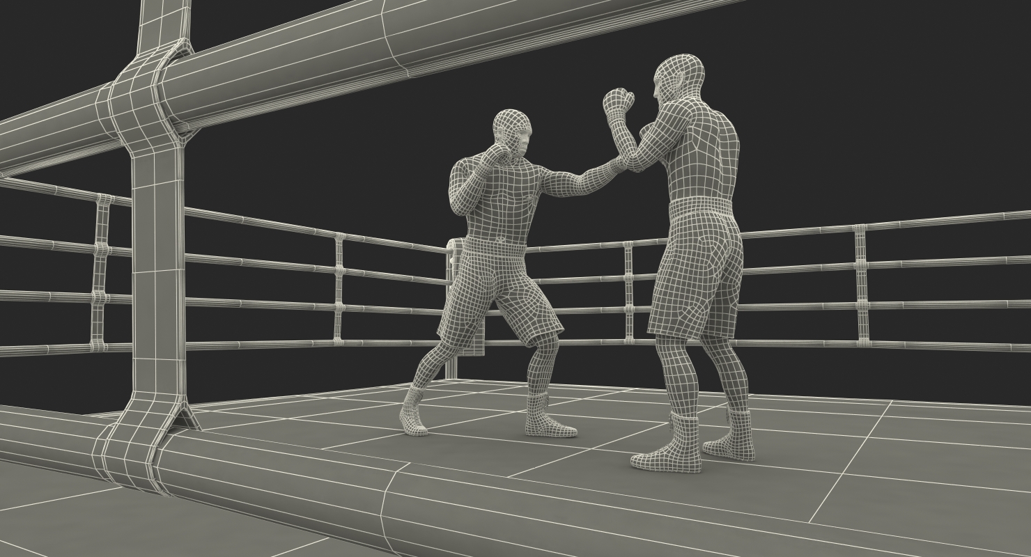 3D model Boxers Fighting In Boxing Ring