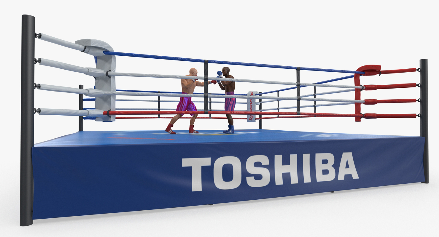 3D model Boxers Fighting In Boxing Ring