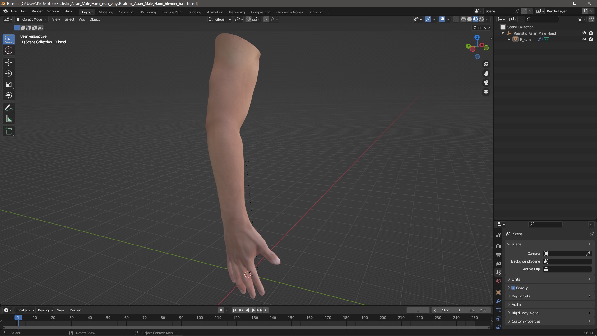 3D model Realistic Asian Male Hand