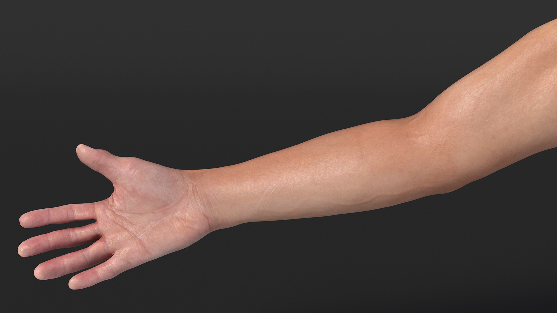 3D model Realistic Asian Male Hand