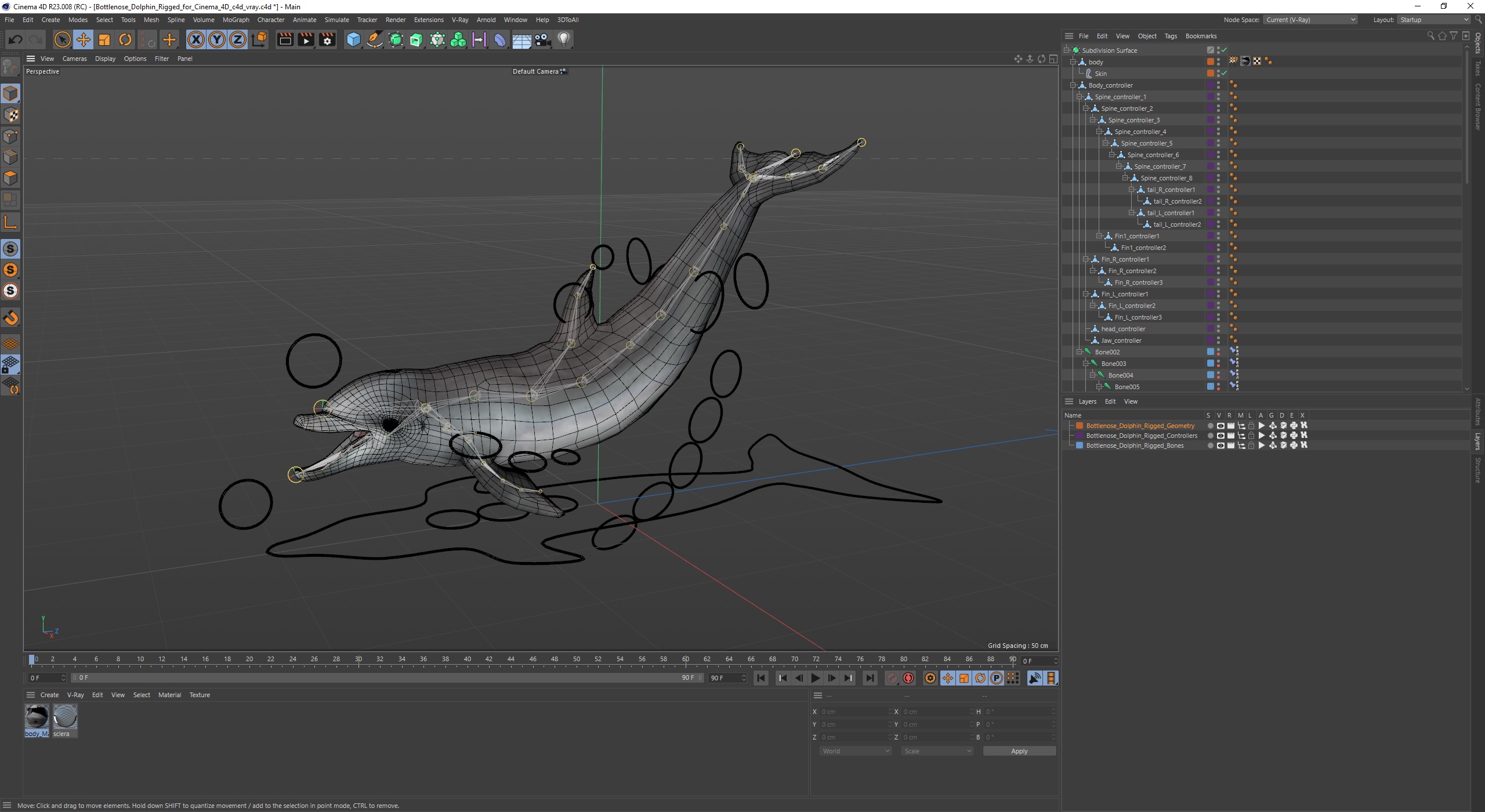 Bottlenose Dolphin Rigged for Cinema 4D 3D model