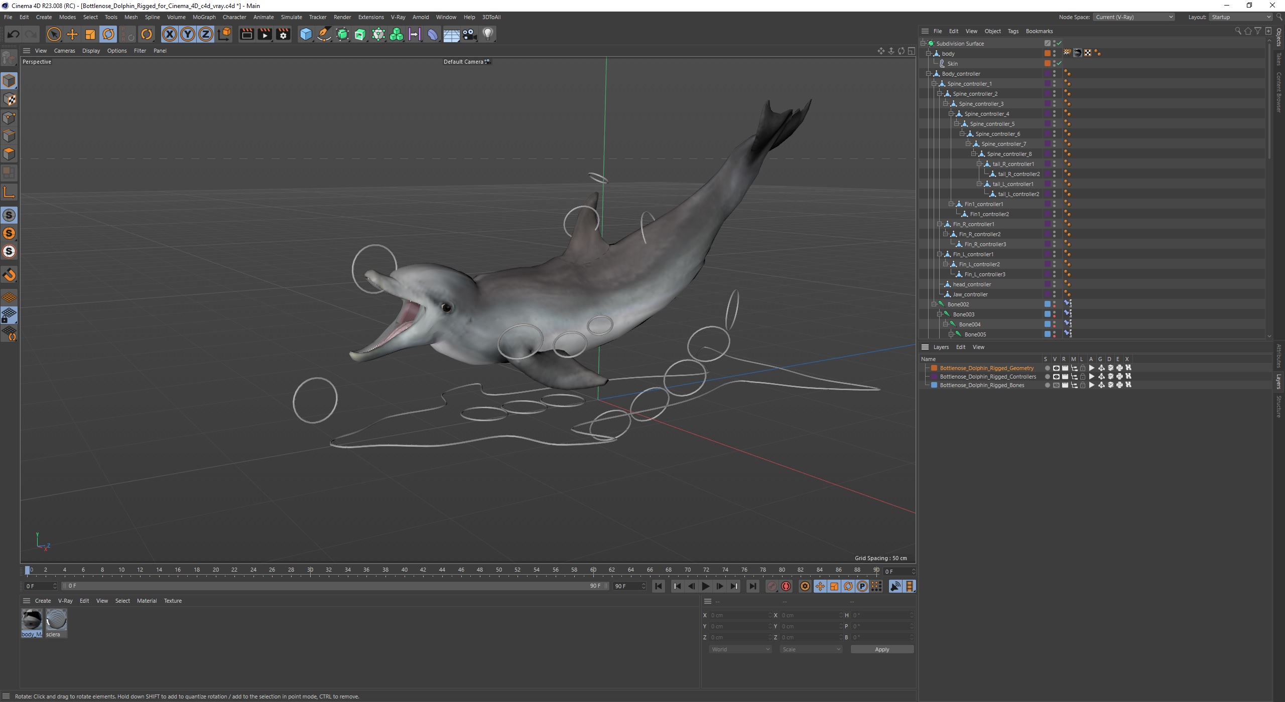 Bottlenose Dolphin Rigged for Cinema 4D 3D model