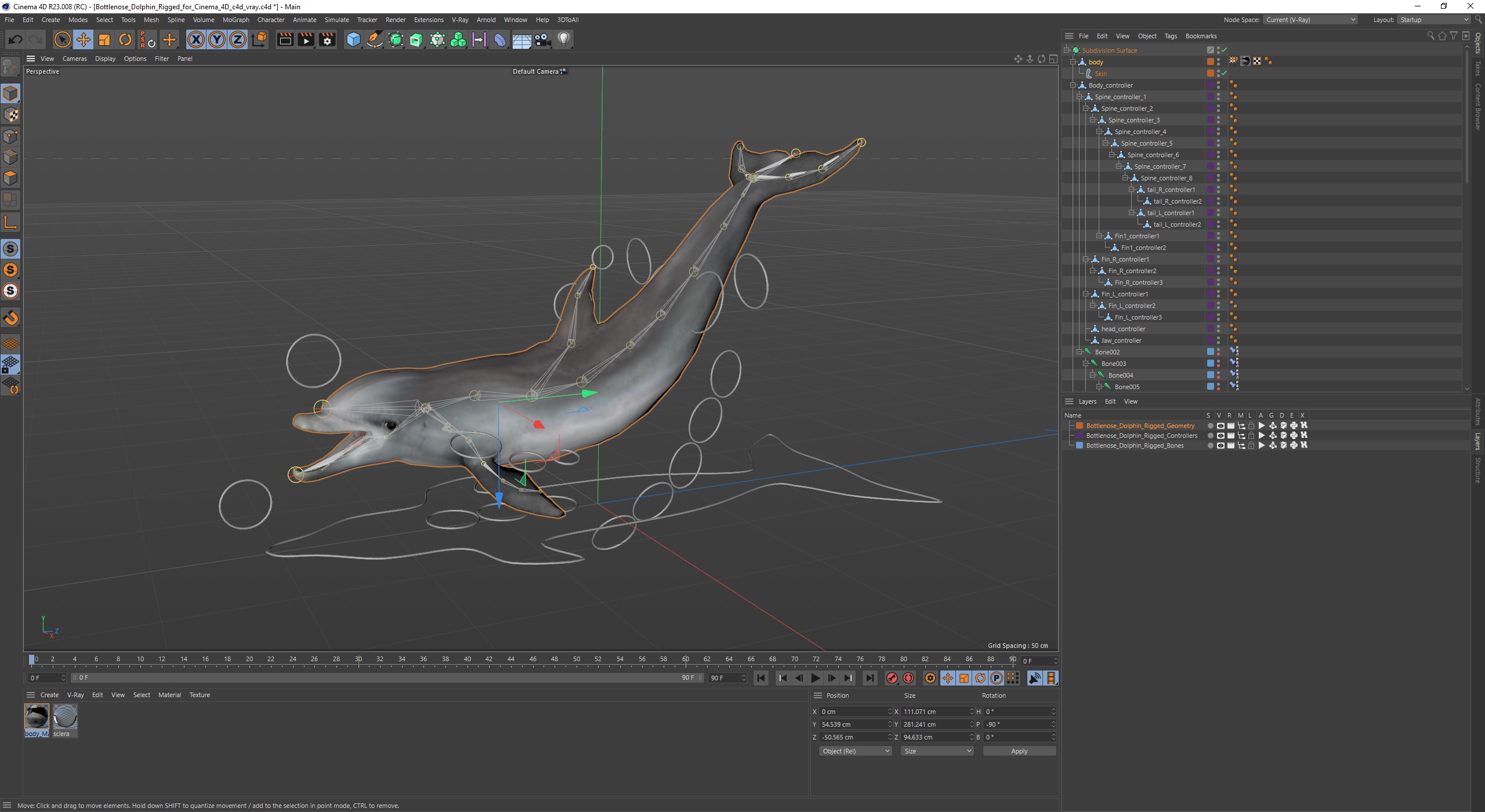 Bottlenose Dolphin Rigged for Cinema 4D 3D model