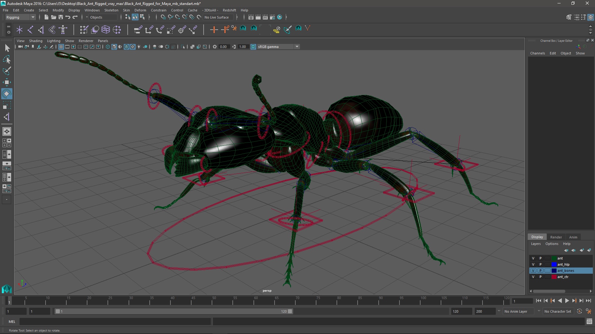 3D model Black Ant Rigged for Maya