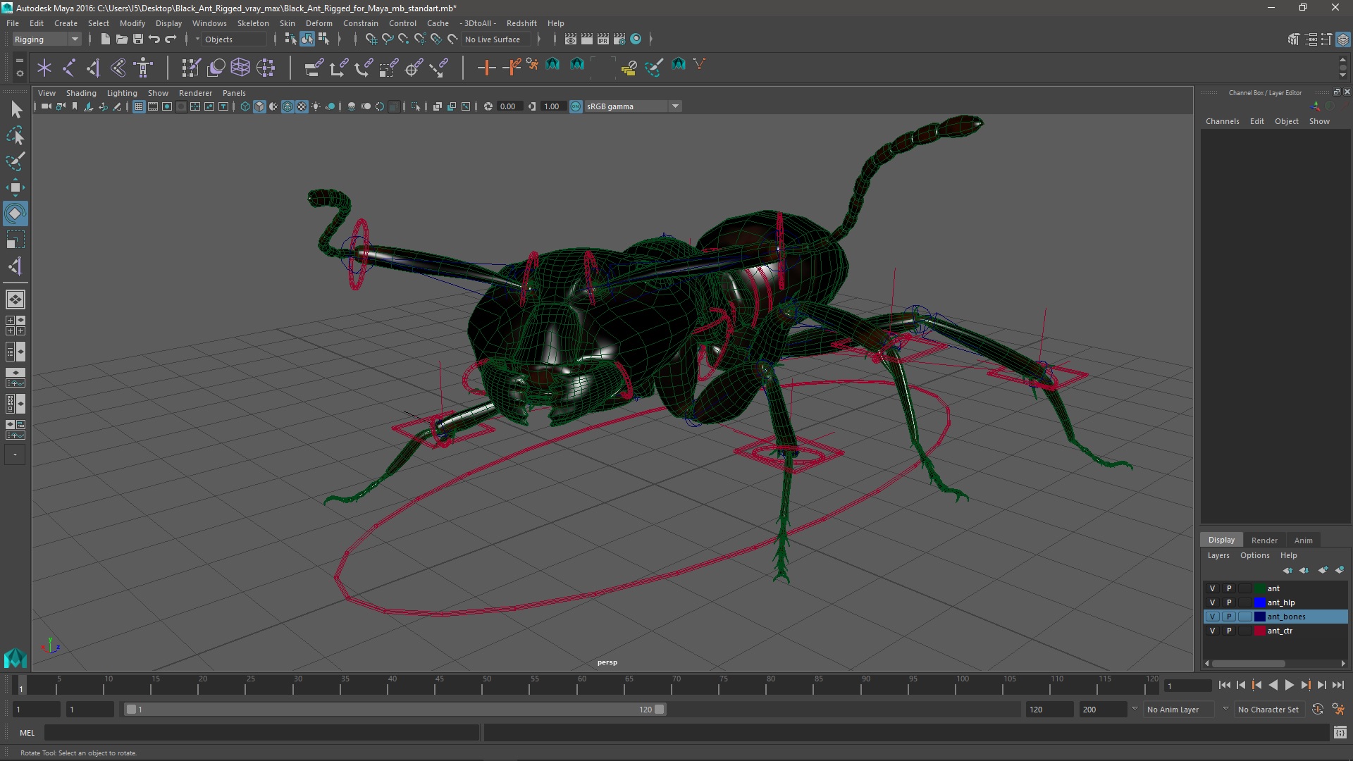 3D model Black Ant Rigged for Maya