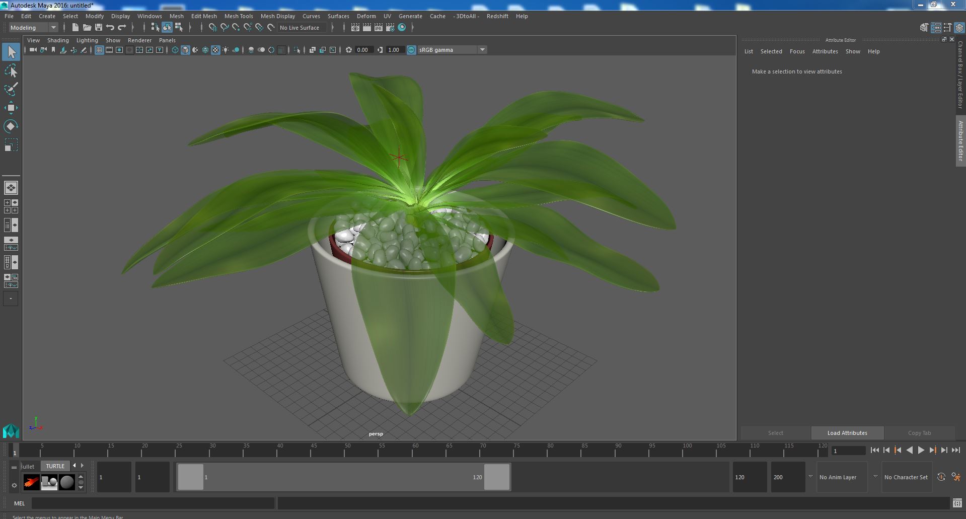 3D model Cordyline Glauca Plant in White Pot