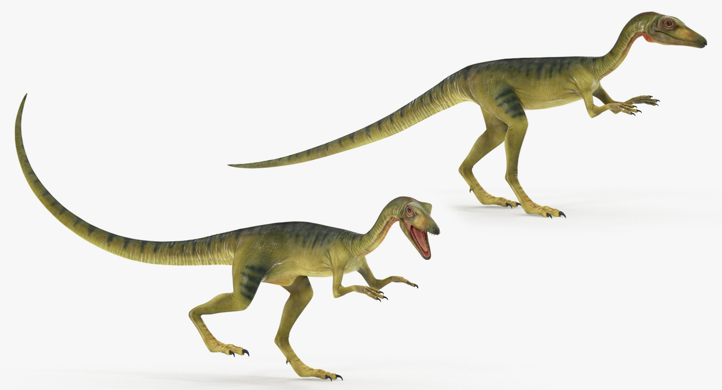 Compsognathus Dinosaur Rigged 3D model