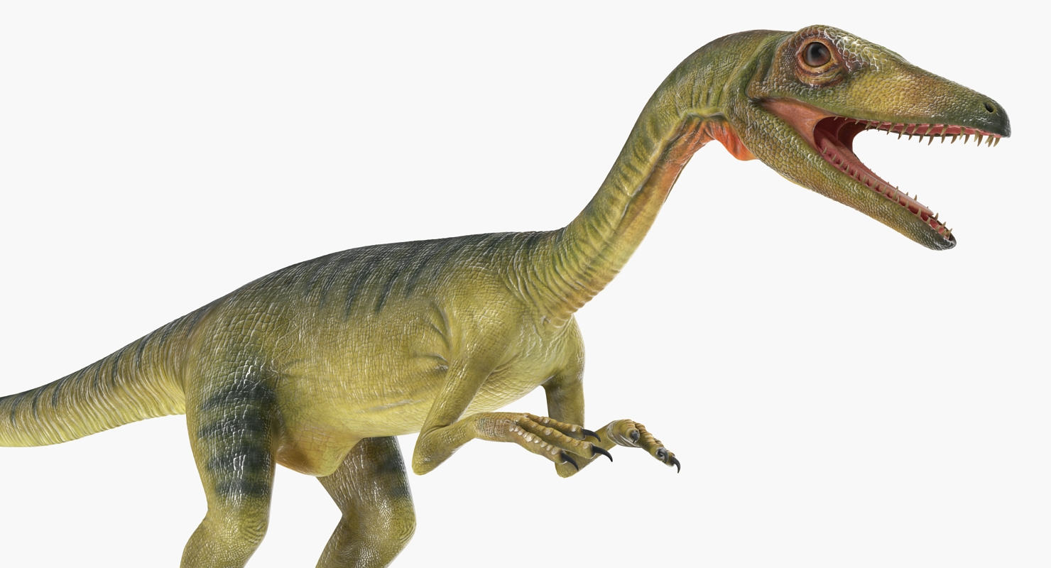 Compsognathus Dinosaur Rigged 3D model