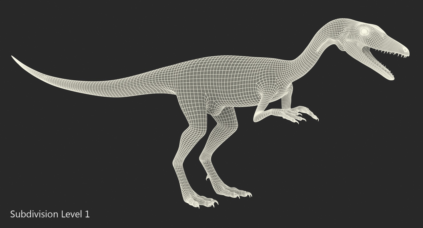 Compsognathus Dinosaur Rigged 3D model