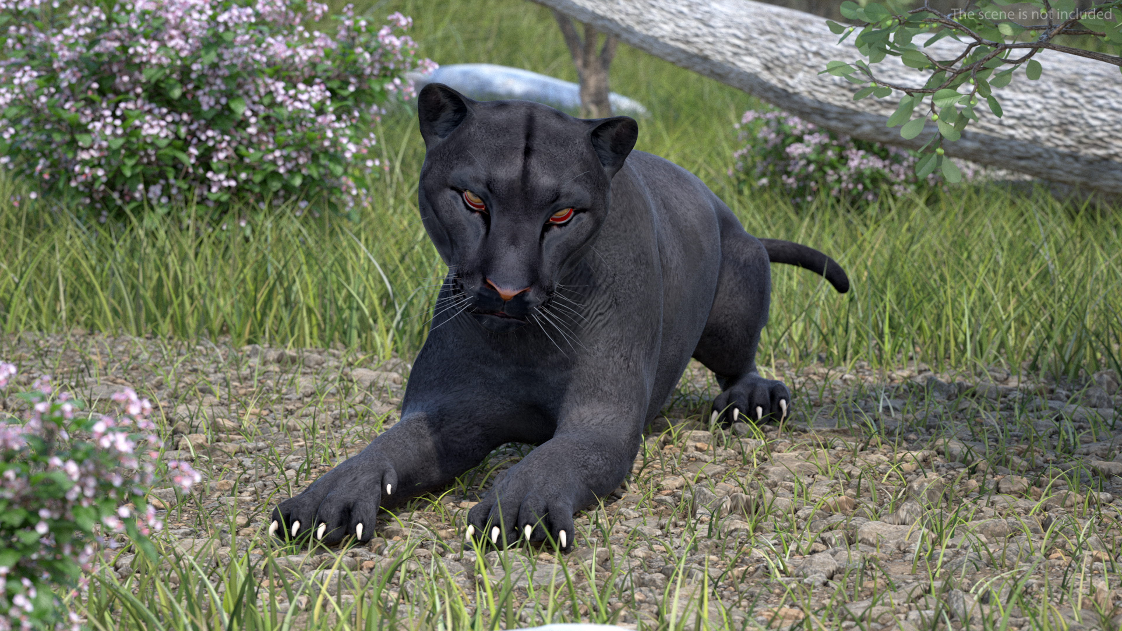 Black Panther Lying Down 3D model