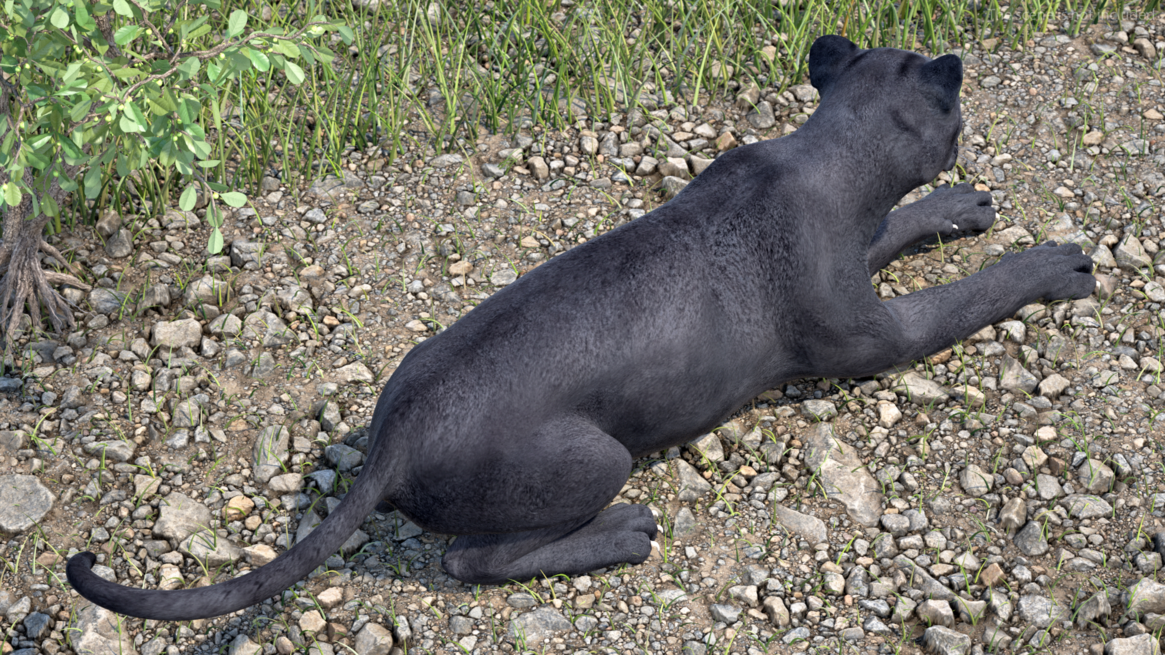 Black Panther Lying Down 3D model