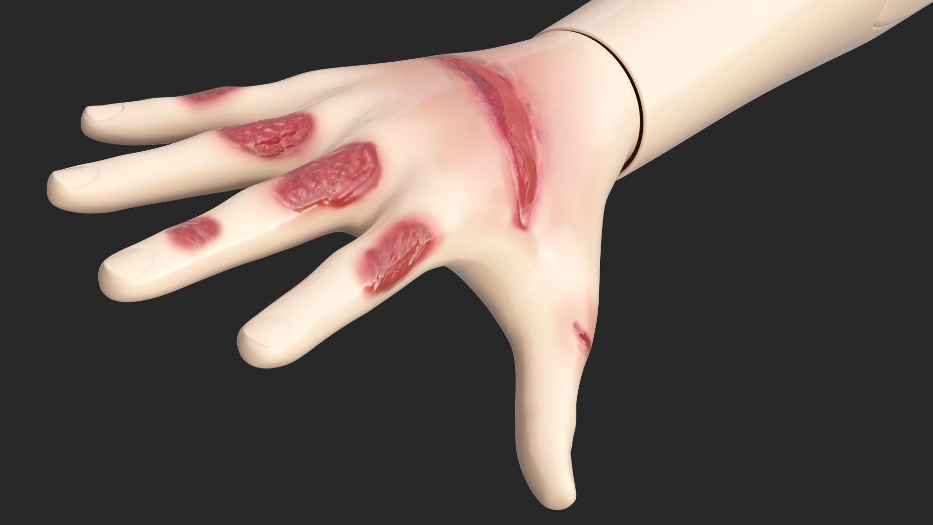 3D model Injured Firstaid Mannequin Arm