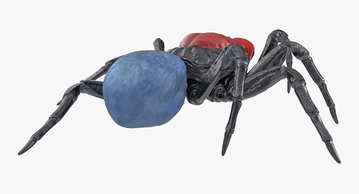 Mouse Spider Rigged 3D model