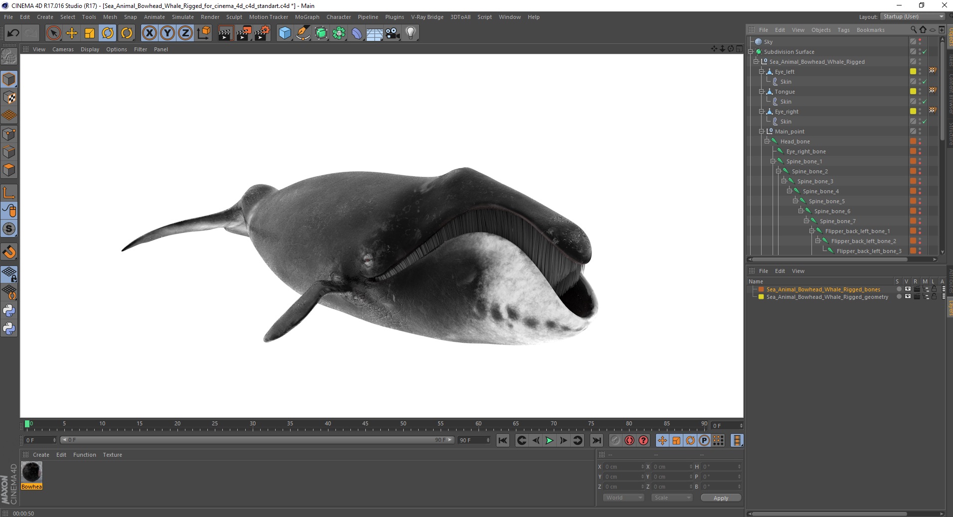 3D model Sea Animal Bowhead Whale Rigged for Cinema 4D