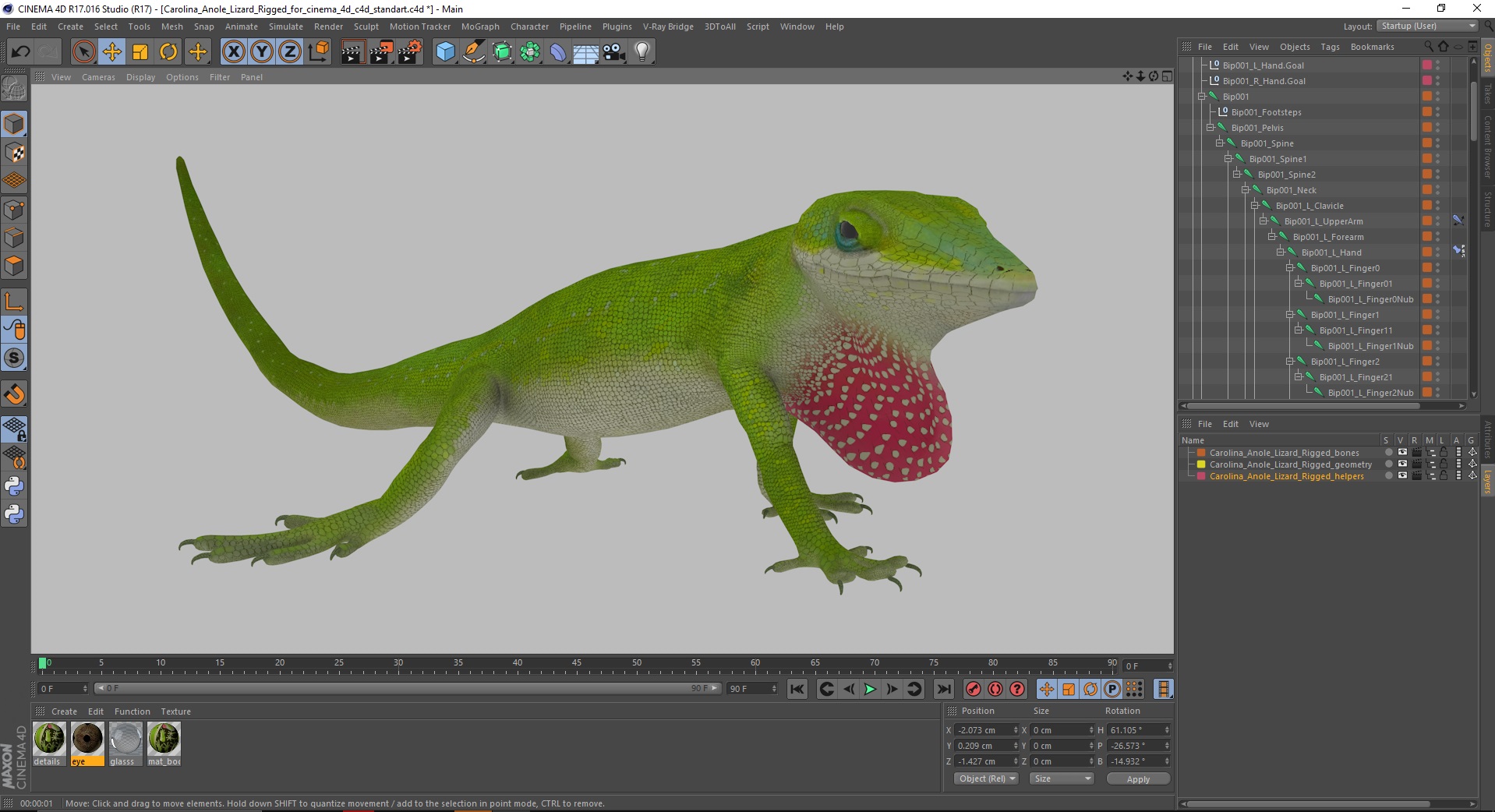 Carolina Anole Lizard Rigged for Cinema 4D 3D