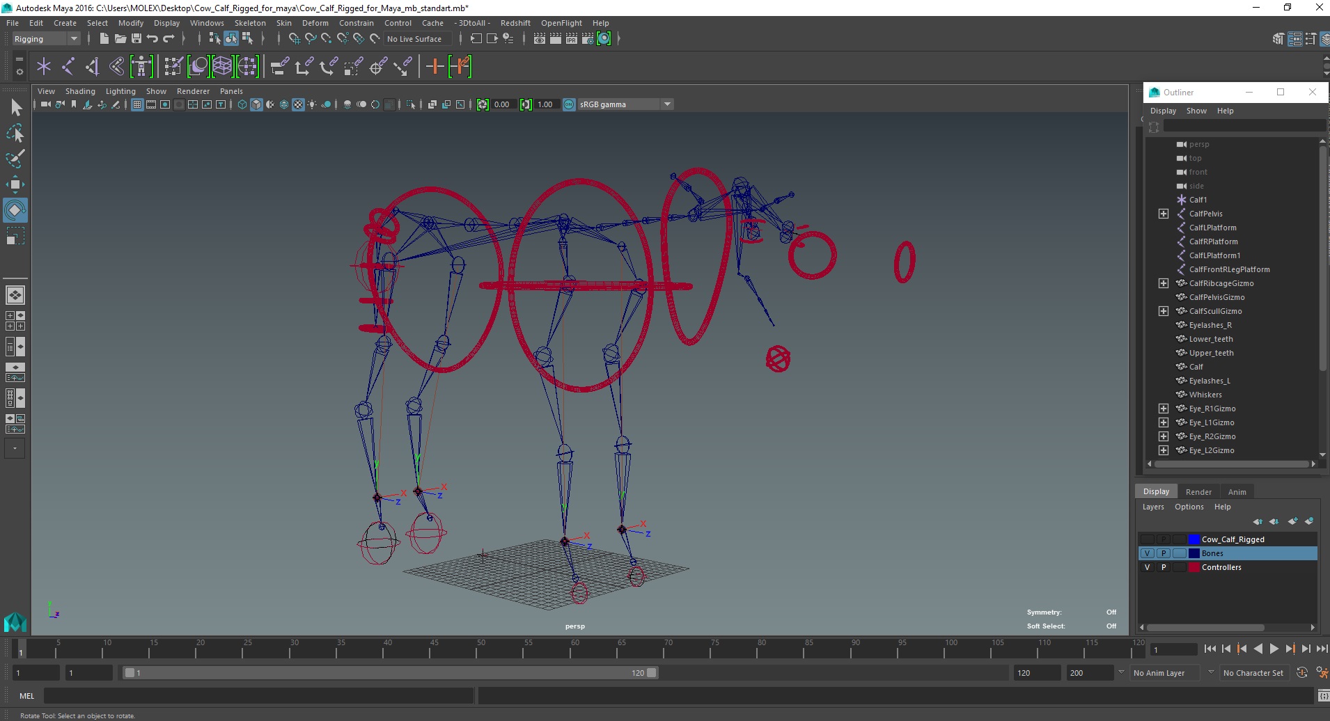 Cow Calf Rigged for Maya 3D model