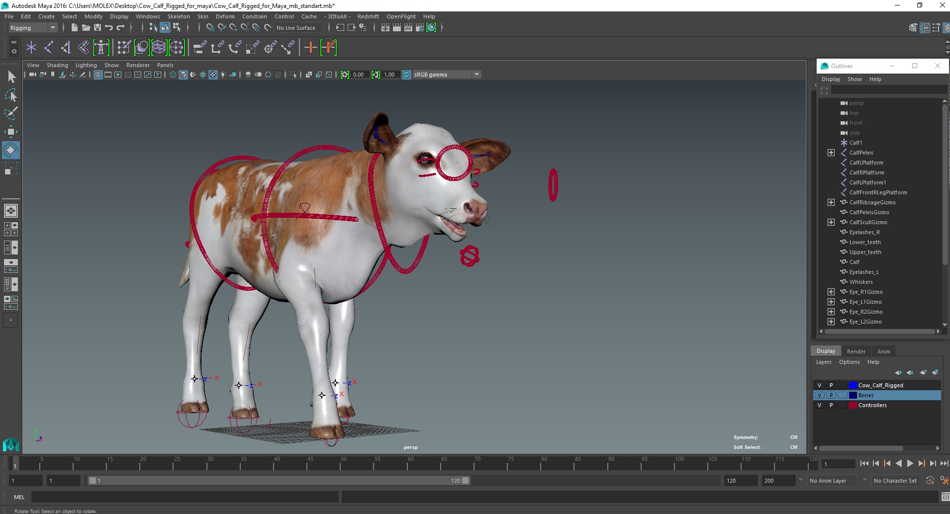 Cow Calf Rigged for Maya 3D model