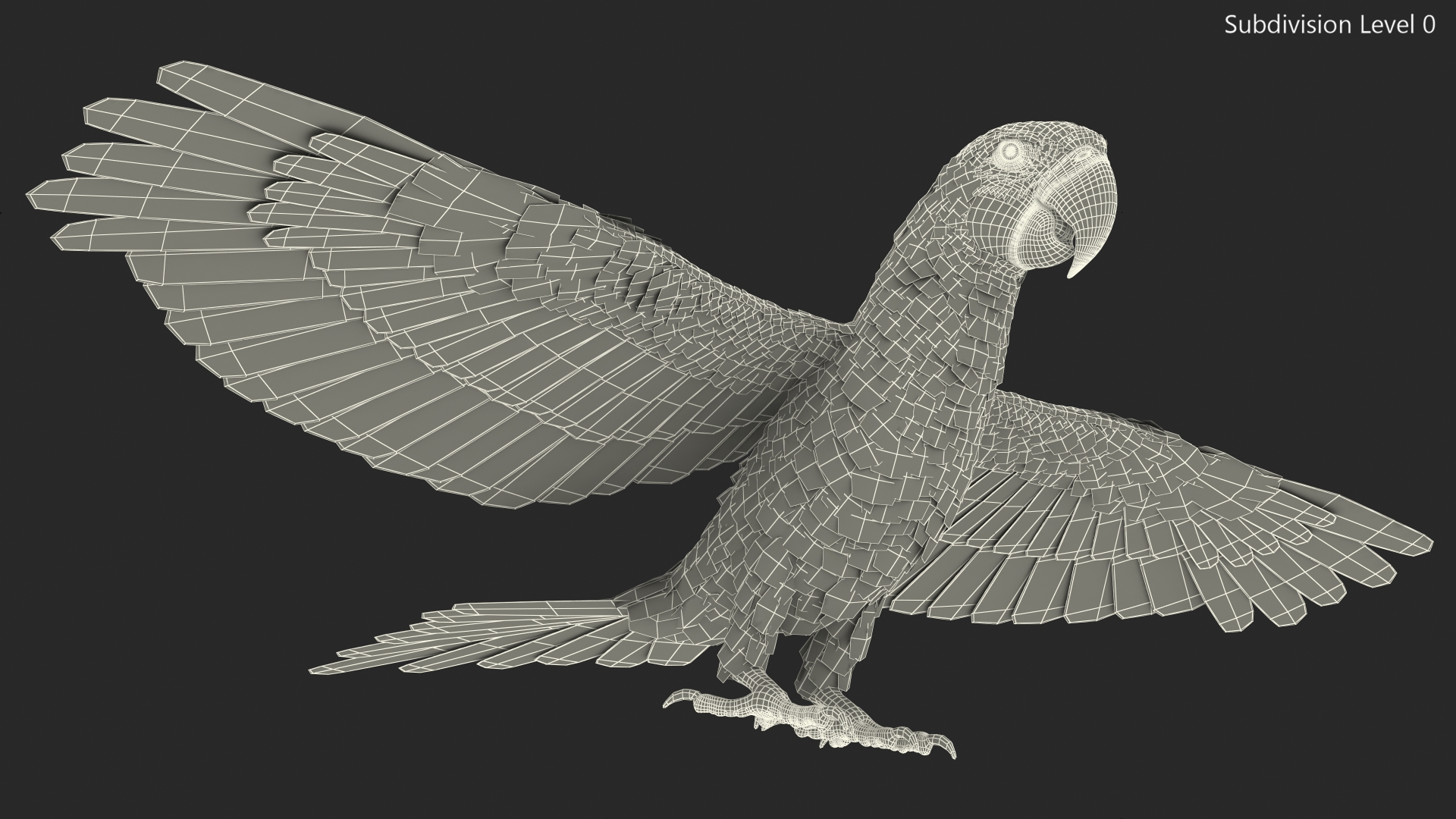 3D model Blue and Yellow Macaw Parrot Rigged