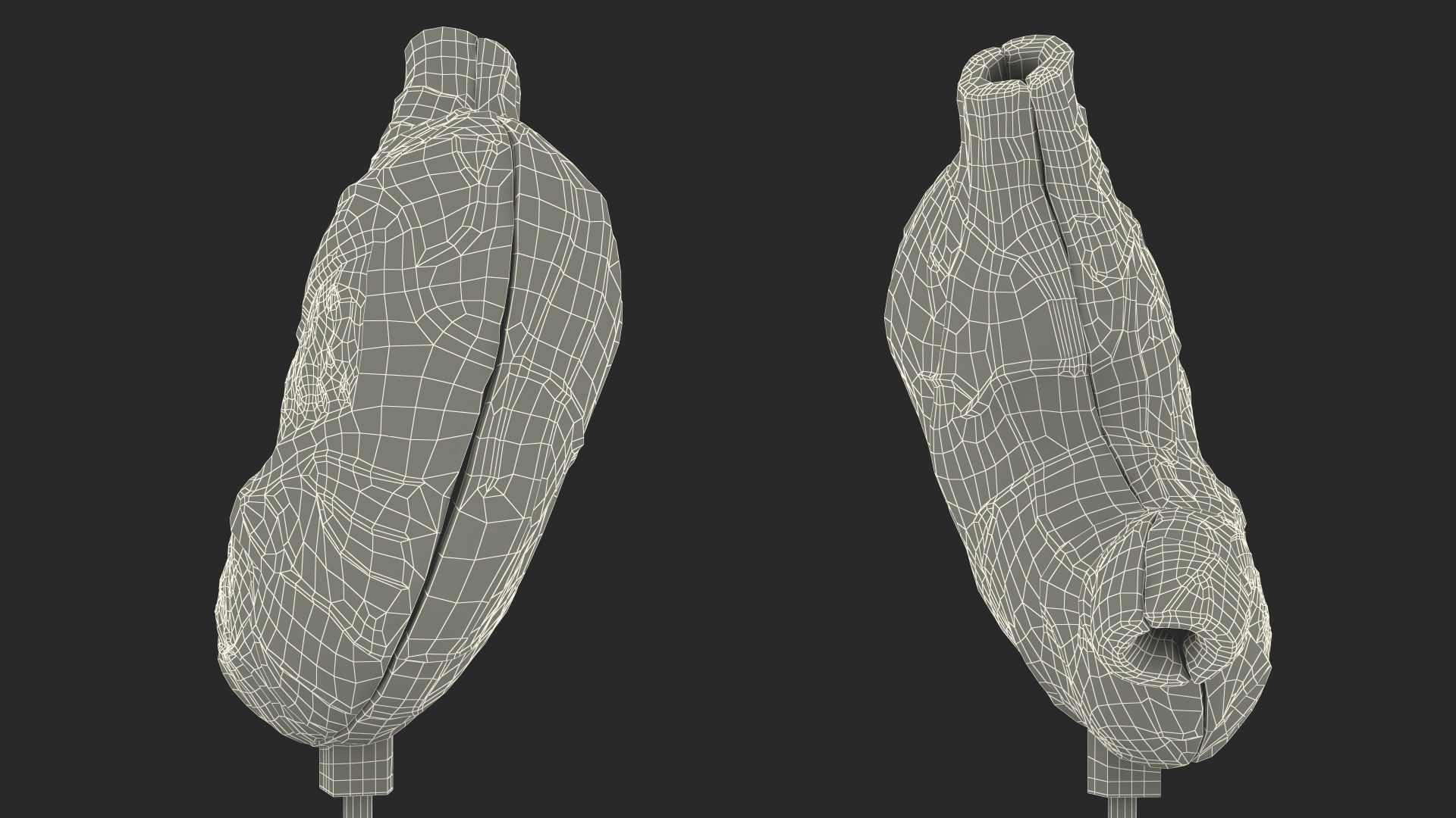 3D Stomach Medical Model