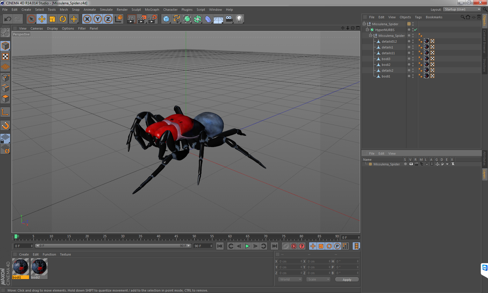 3D Missulena Spider