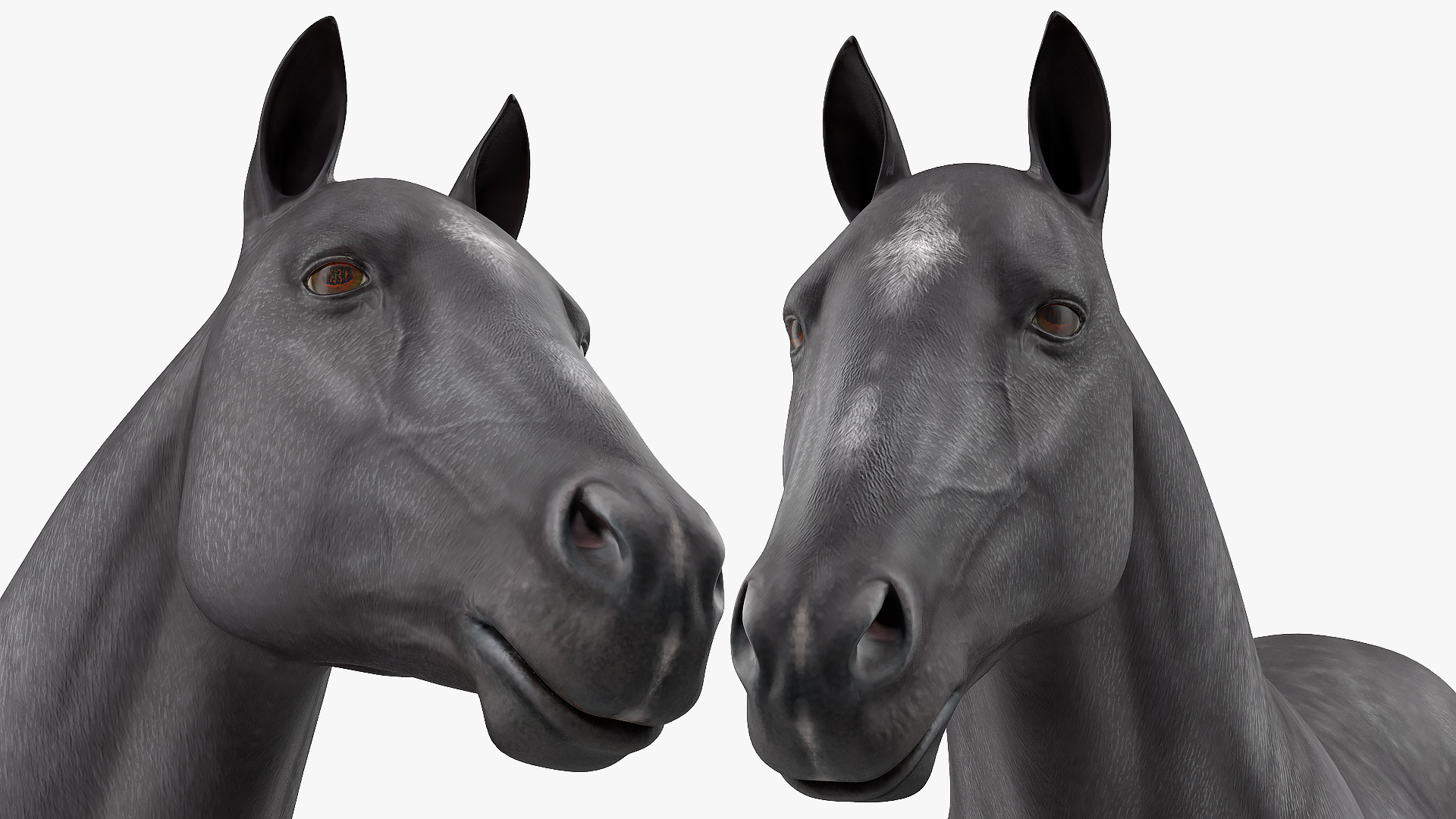 3D Horse Black