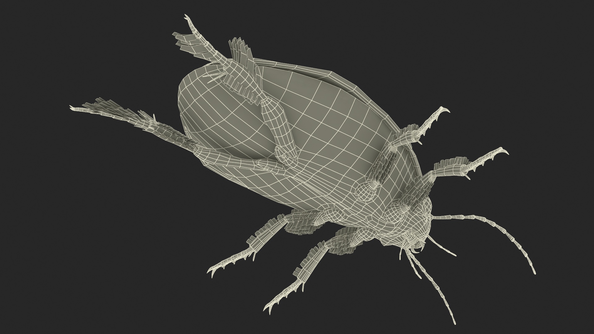 Squeak Beetle Black Realistic 3D model