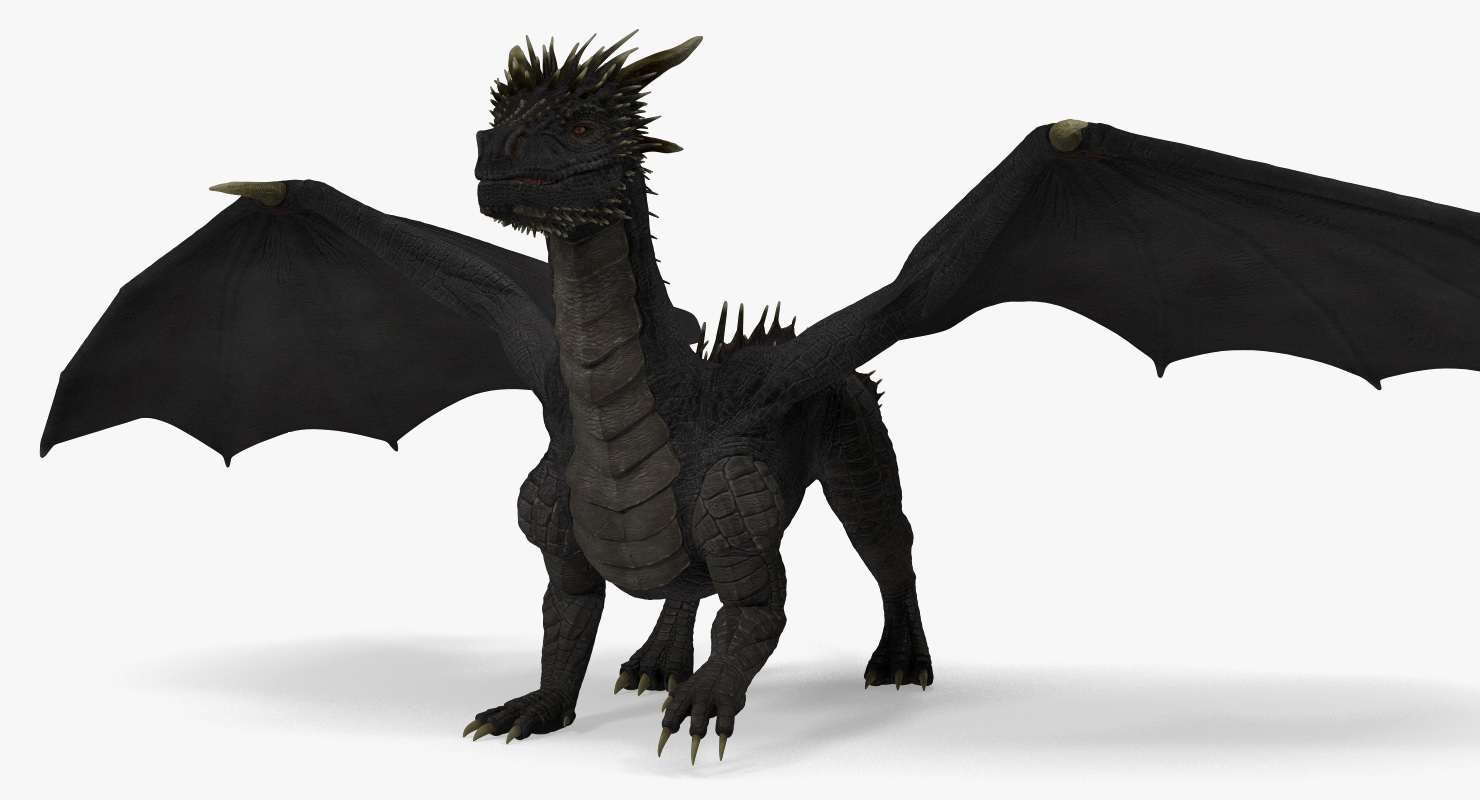 Mythical Black Dragon Walking 3D model