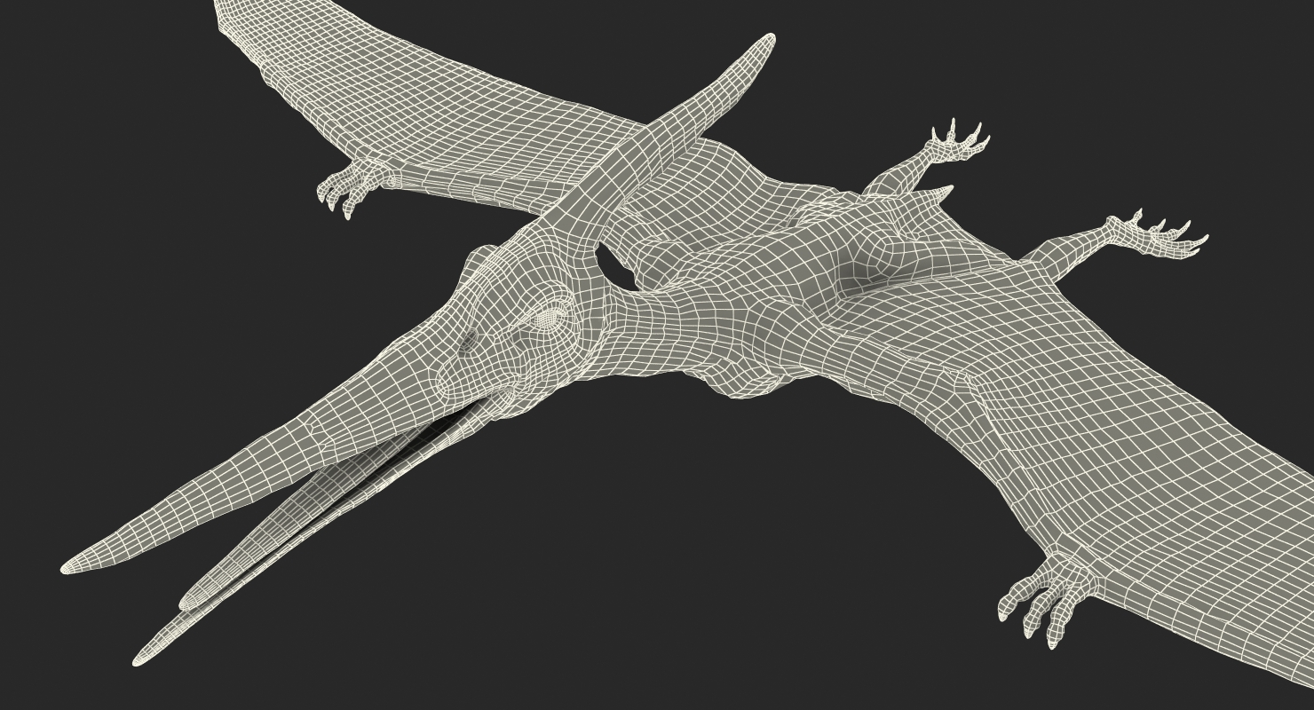 Pteranodon with Fur 3D model