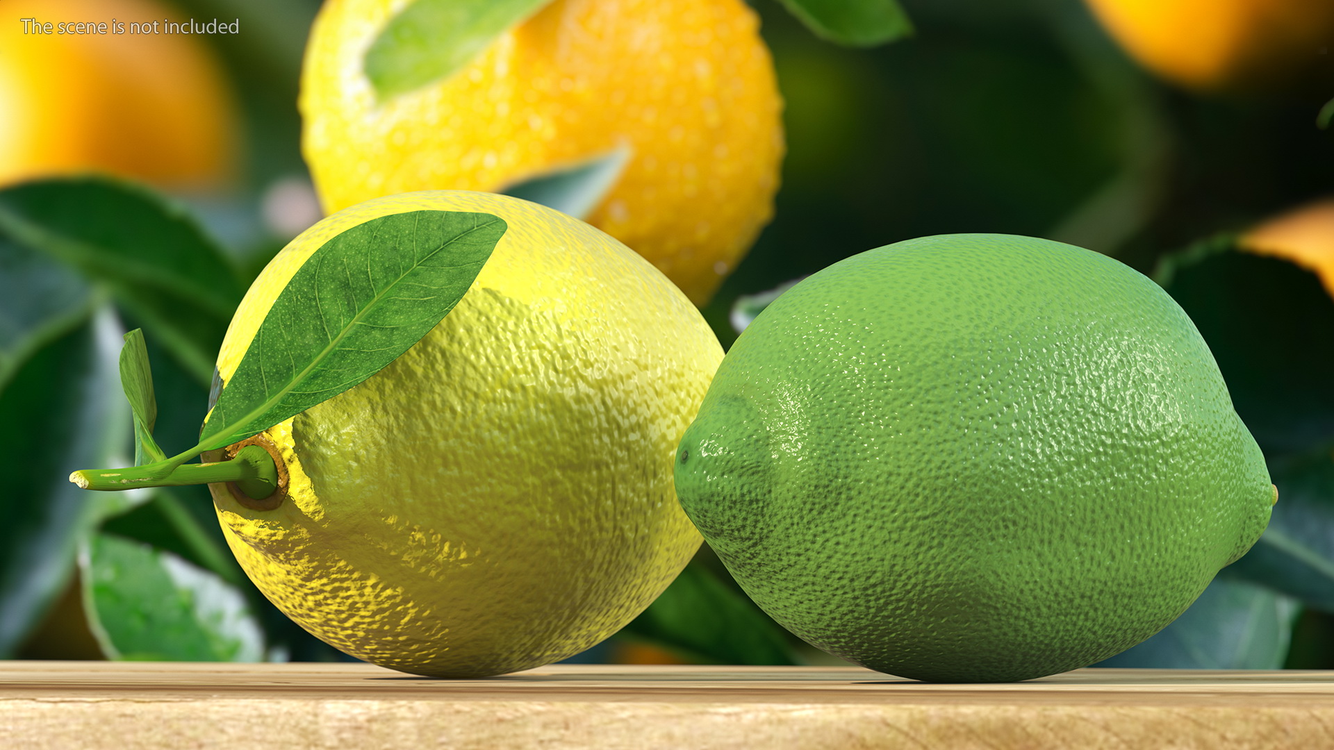 Green and Yellow Lemon 3D