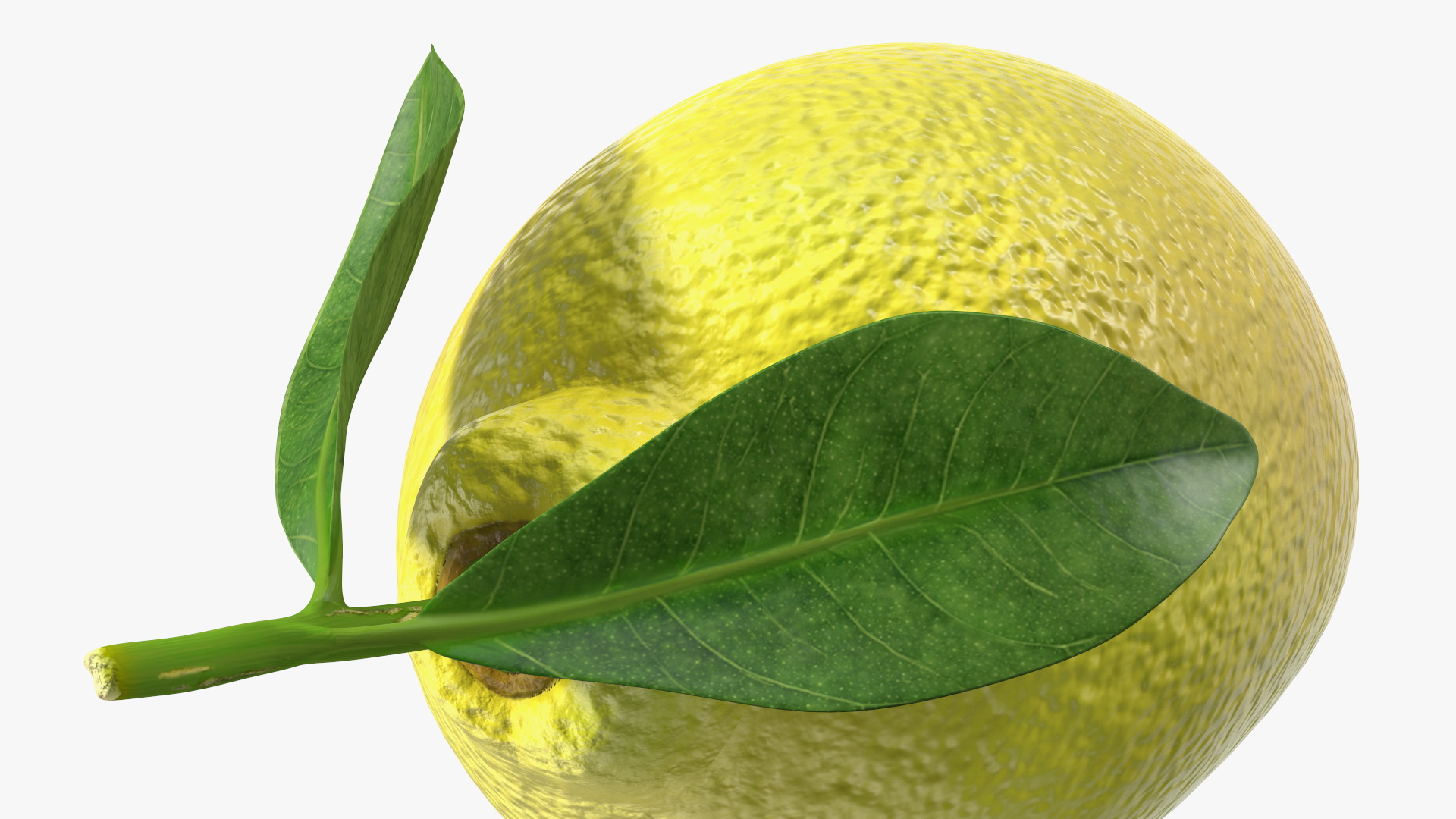 Green and Yellow Lemon 3D