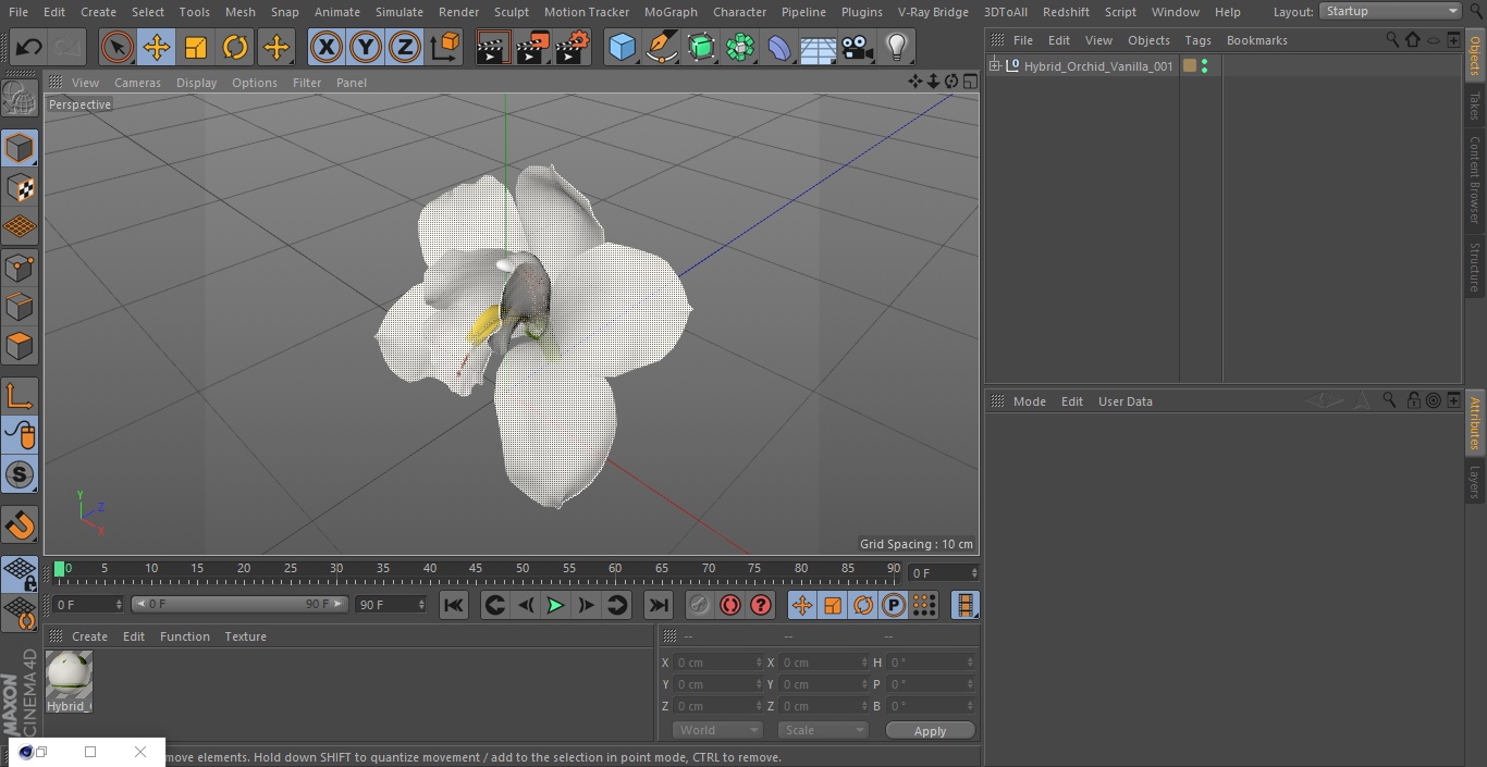 3D Hybrid Orchid Vanilla