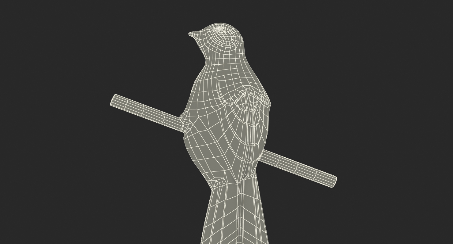 3D model Silvery Mockingbird Badge