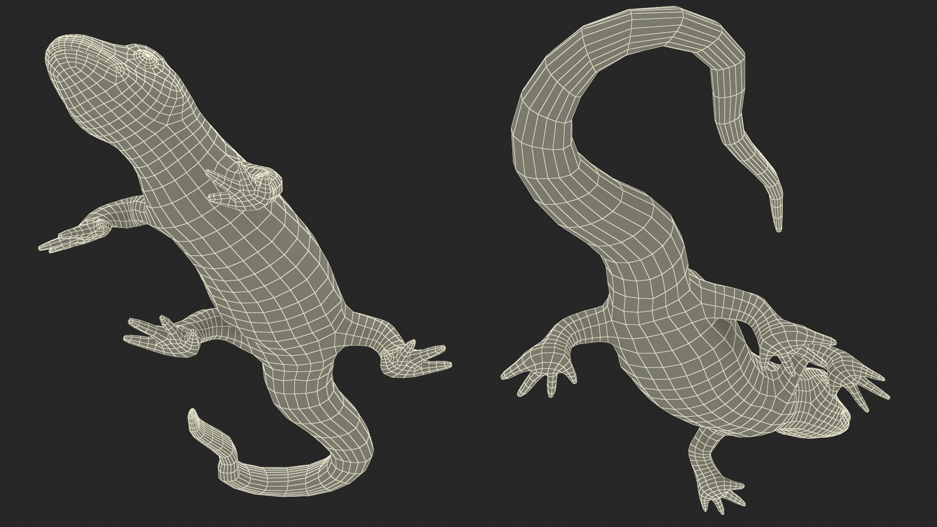 3D model Sierra Newt Crawling Pose