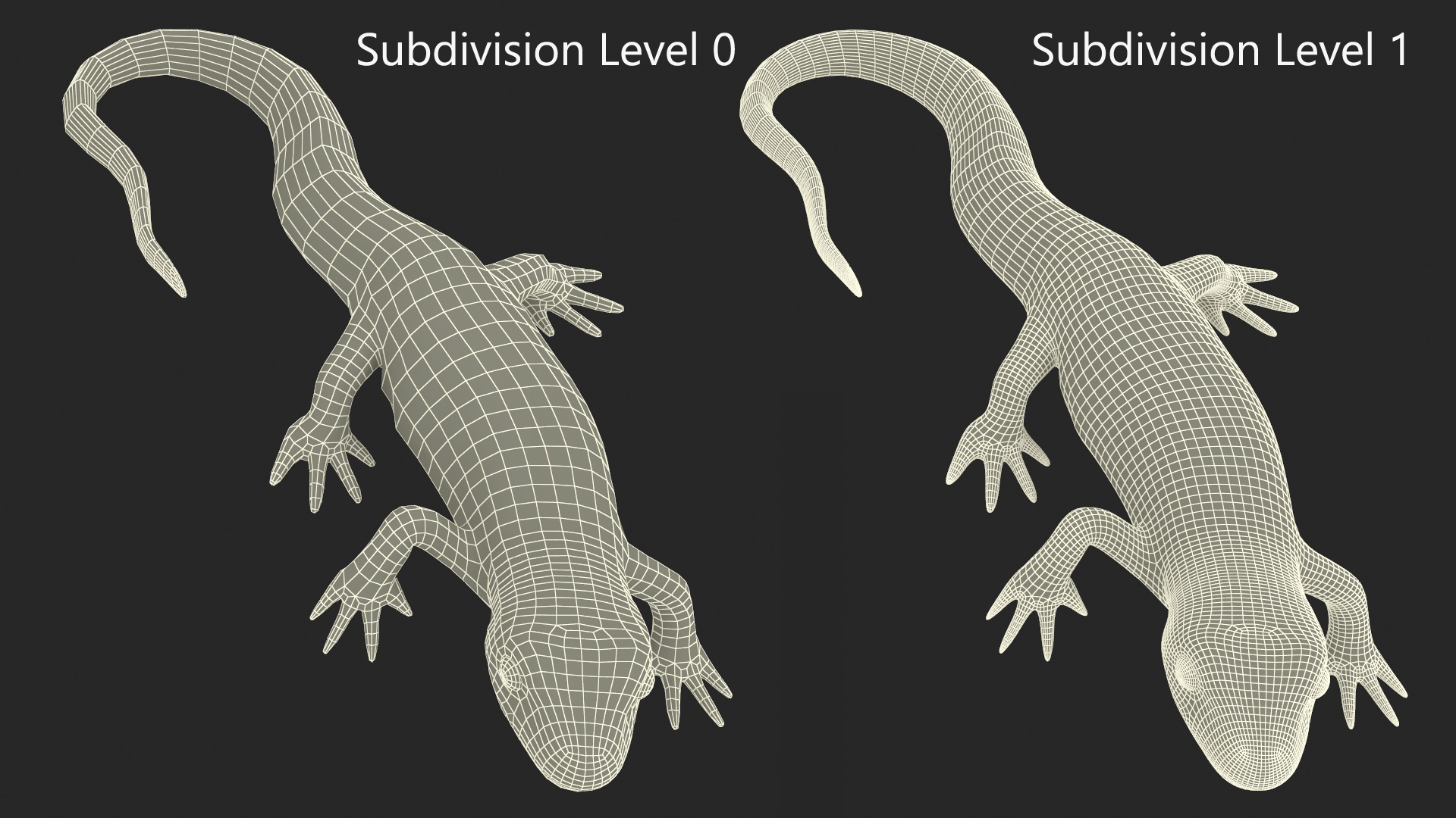 3D model Sierra Newt Crawling Pose