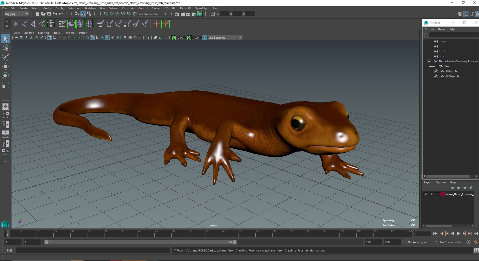 3D model Sierra Newt Crawling Pose