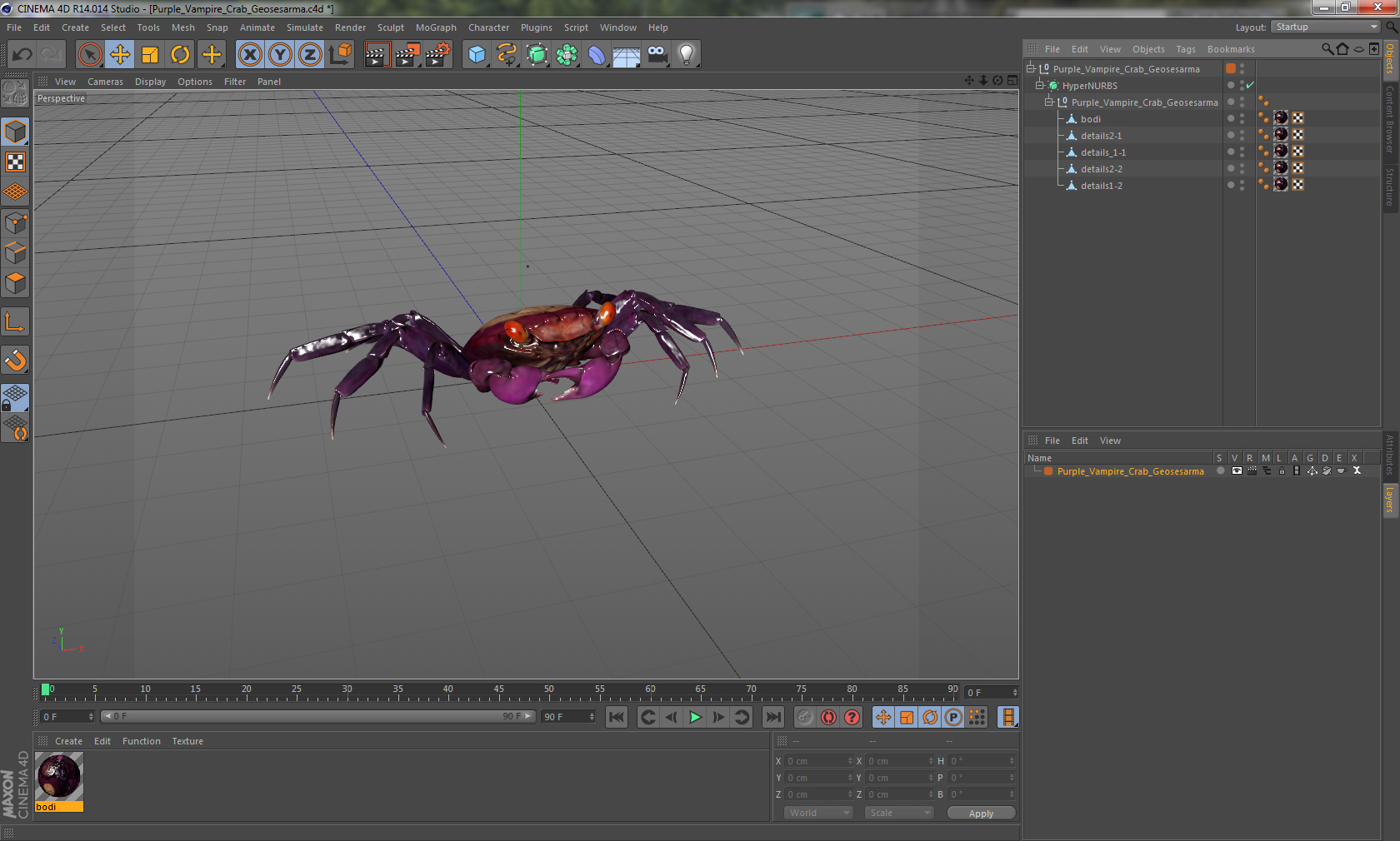 3D model Purple Vampire Crab Geosesarma