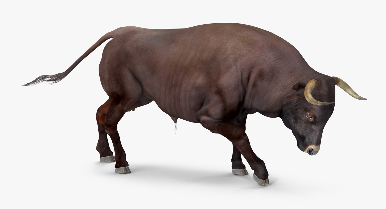 Bull Attacking Pose 3D model