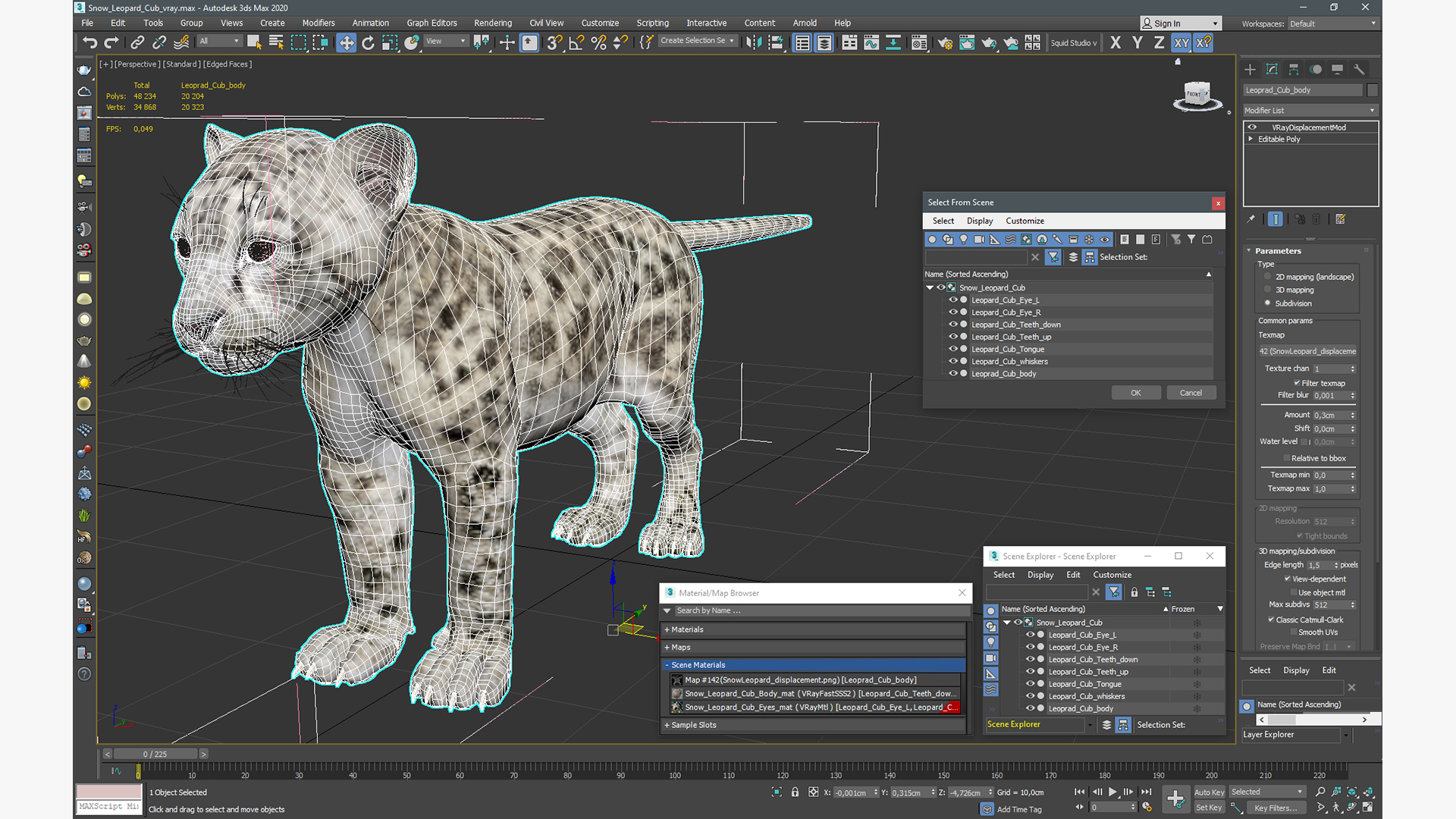 3D Snow Leopard Cub