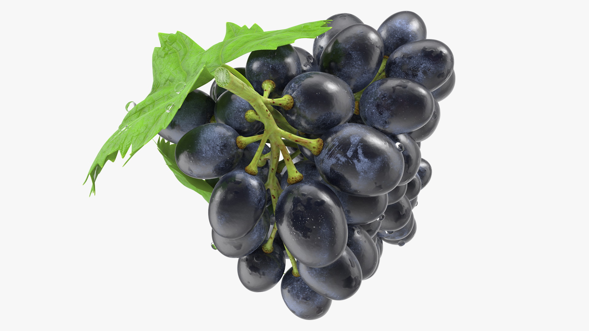 3D Bunch of Black Grapes