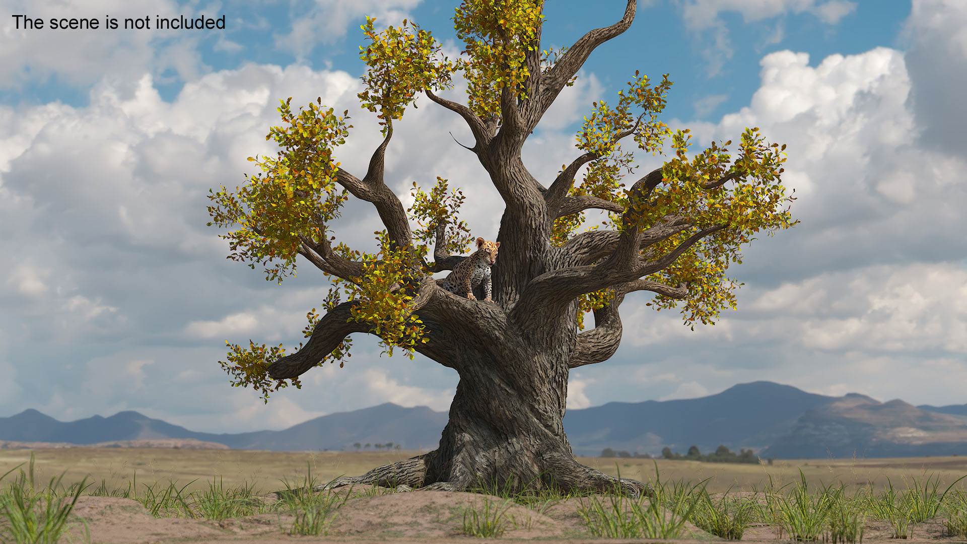 3D model Leopard Cub on Ancient Twisted Tree