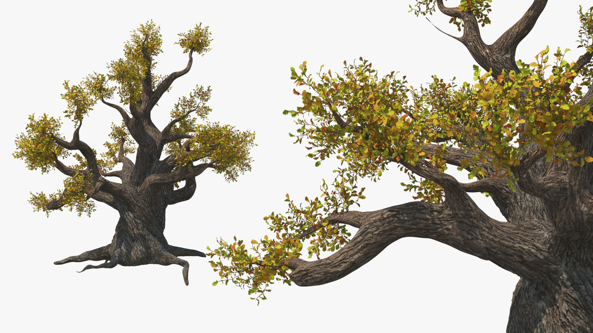 3D model Leopard Cub on Ancient Twisted Tree