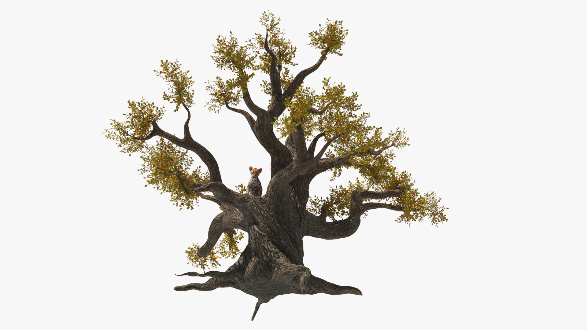 3D model Leopard Cub on Ancient Twisted Tree