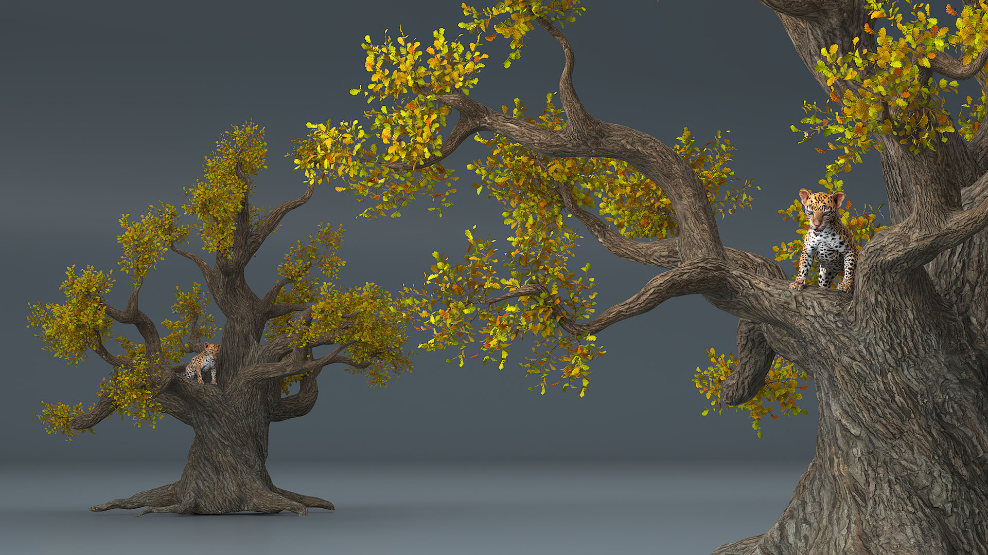 3D model Leopard Cub on Ancient Twisted Tree