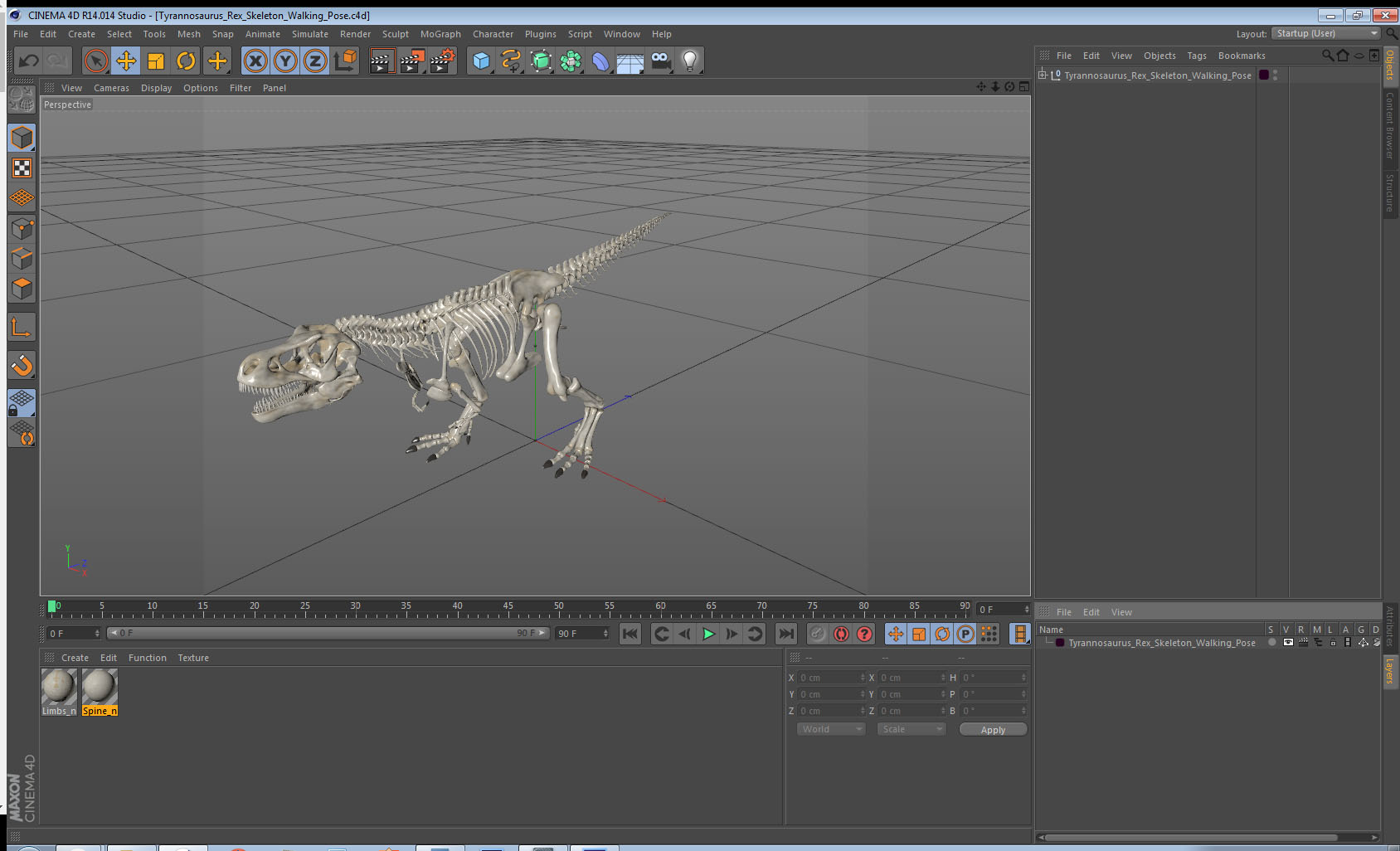 Tyrannosaurus Rex Skeleton Walking Pose 3D model