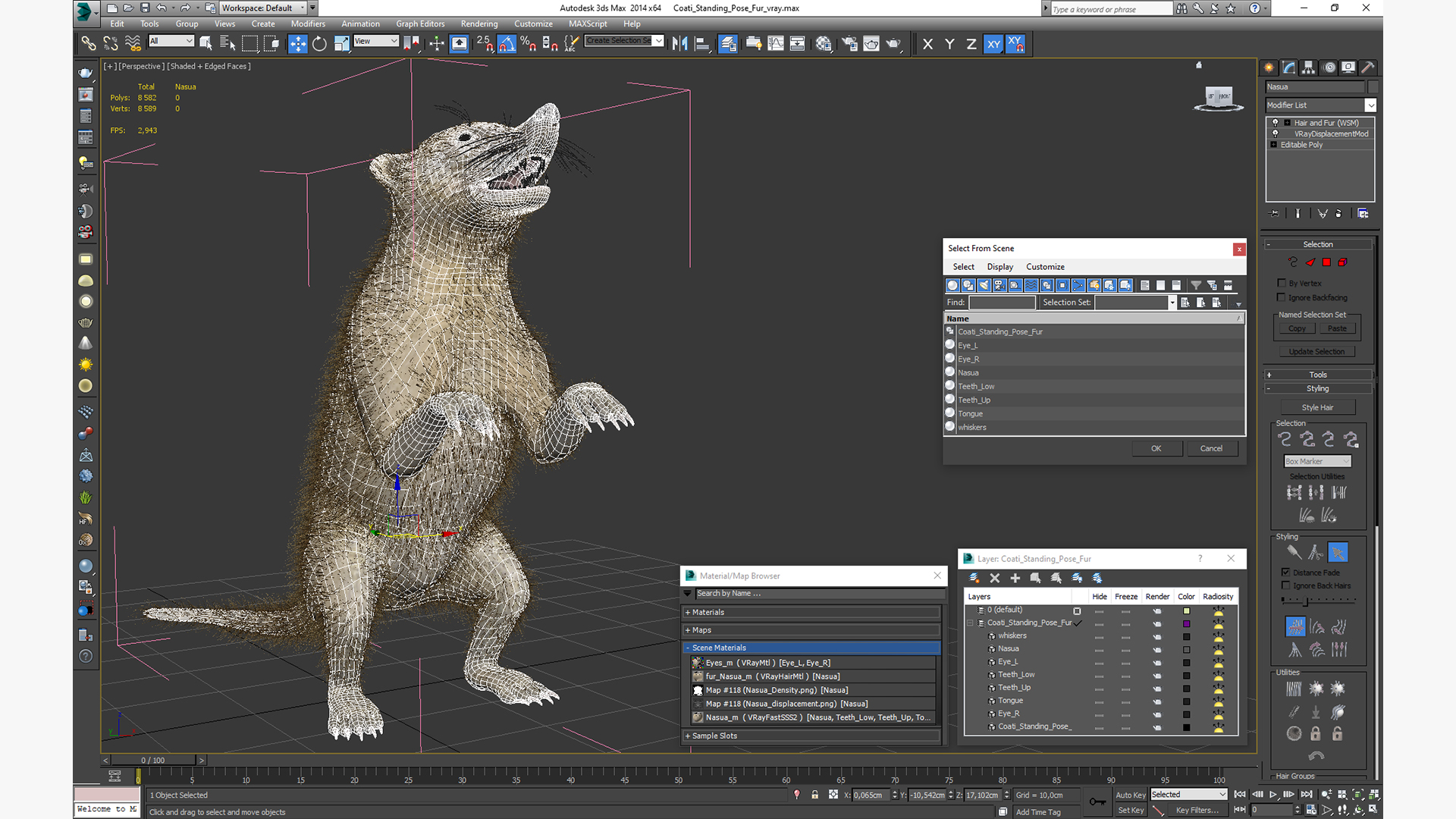 3D Coati Standing Pose Fur model