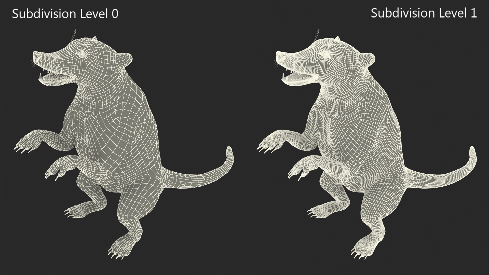 3D Coati Standing Pose Fur model