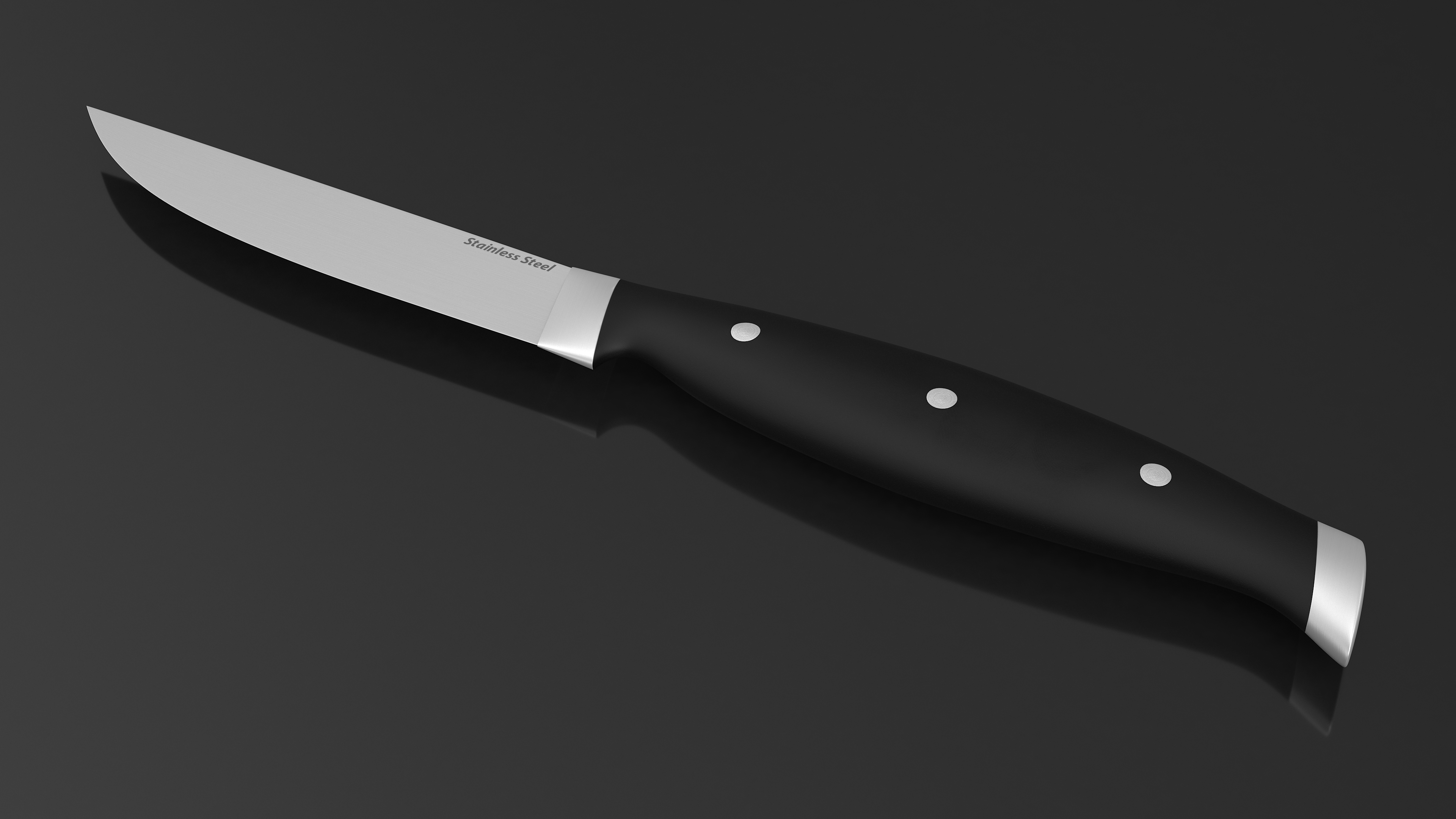 Classic Steak Knife 3D model