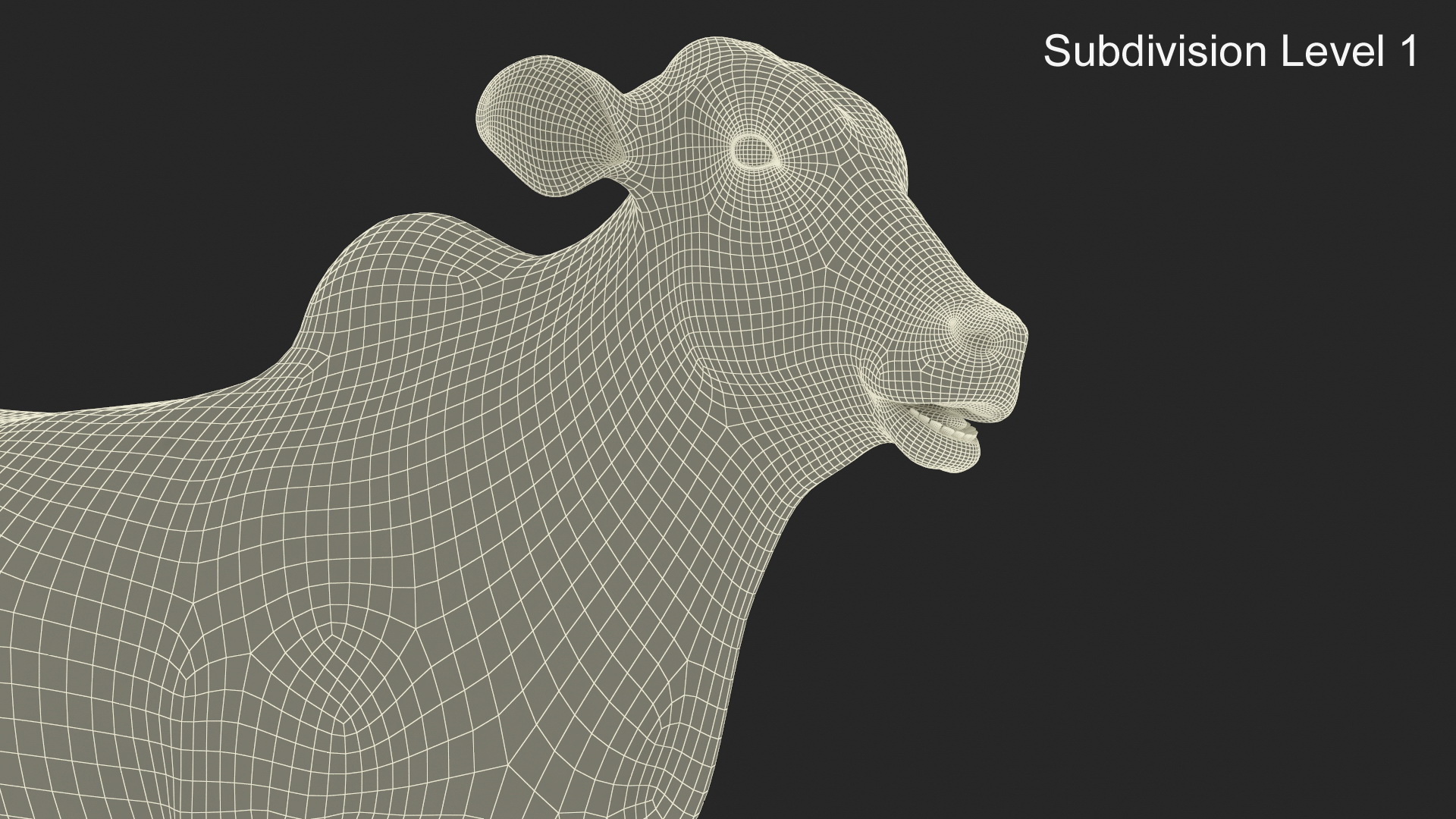 3D model Ongole Cattle Female