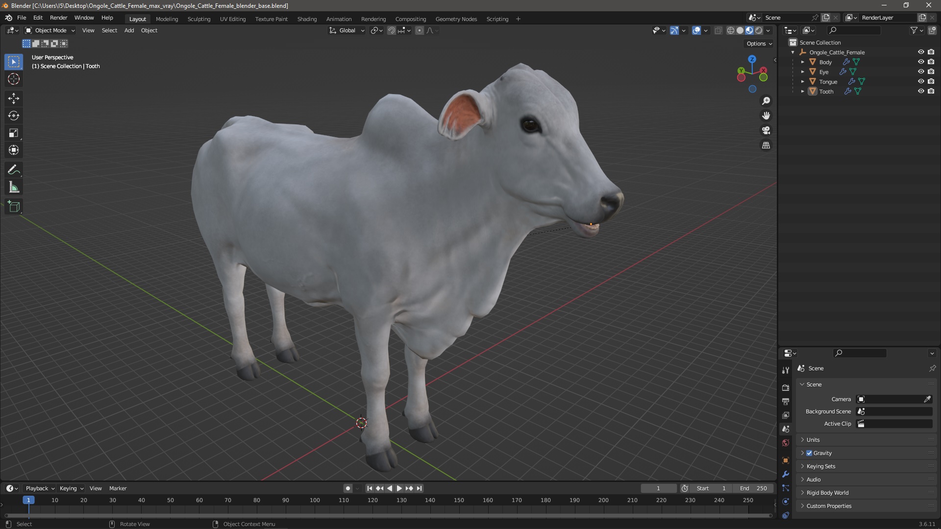 3D model Ongole Cattle Female