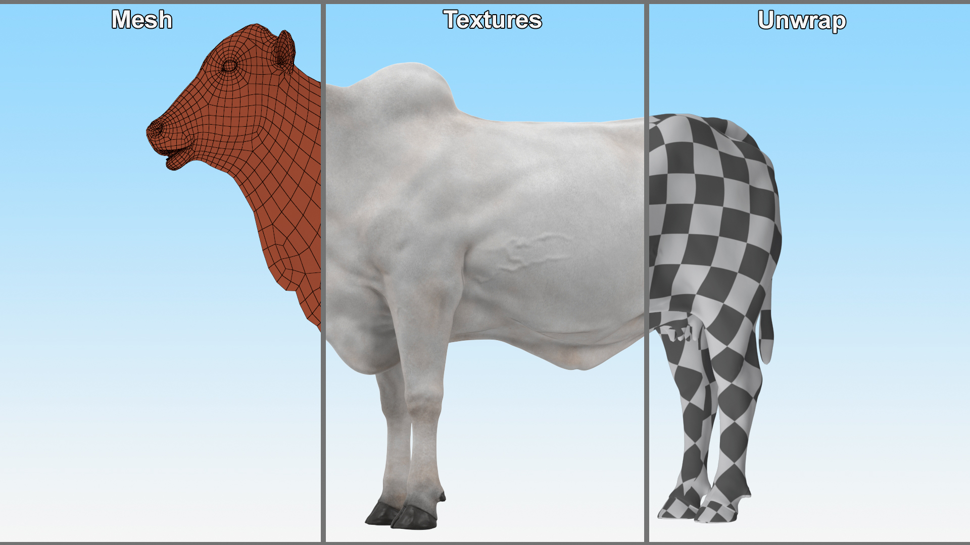 3D model Ongole Cattle Female